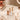 Icy Organiser261610(A1355500)